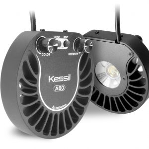 Kessil A80