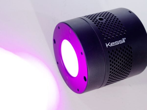 Kessil H380