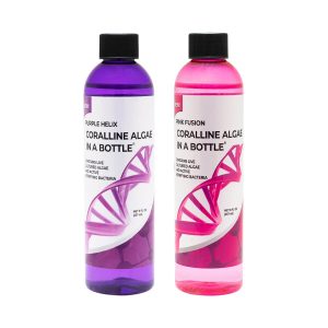 manbetx3.0最新Coralline Algae in a Bottle, In Pink or Purple!