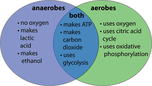 An Overview